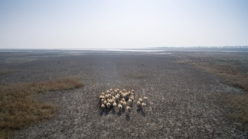 “DJI_0478”