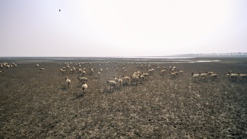 “DJI_0492”