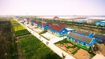 “DJI_0445”