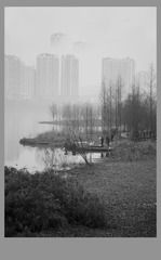 DSC_6954-编辑