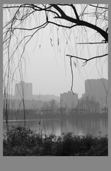 DSC_7078 - 