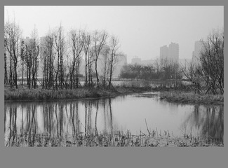 DSC_7091 - 