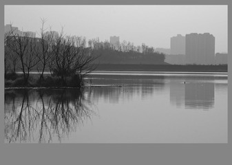 DSC_7101 - 