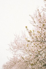 IMG_0235-2