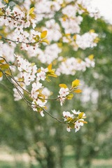 IMG_0256-1
