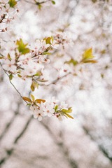 IMG_0276-1