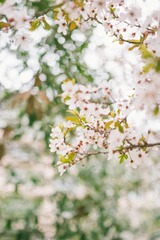 IMG_0285-1