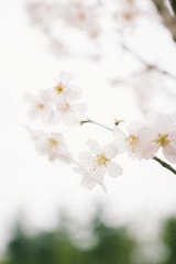 IMG_0311-2