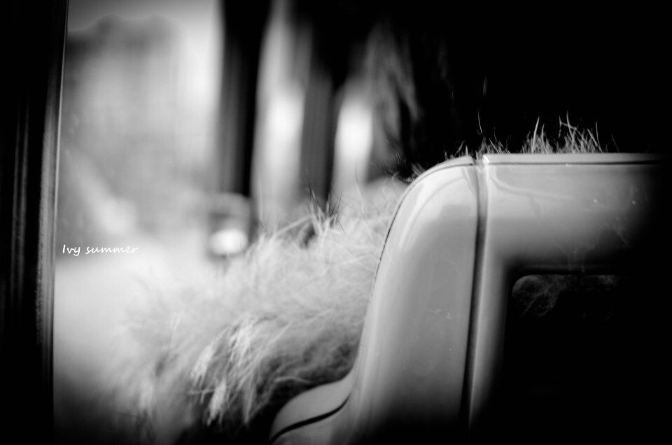 DSC_0516_<br />
