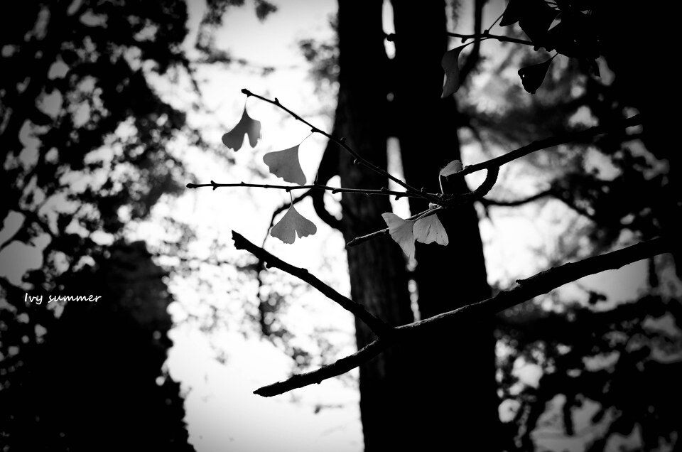 DSC_0426_<br />
