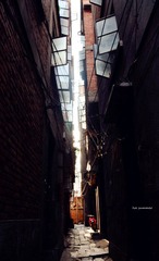 DSC_0786_副.jpg