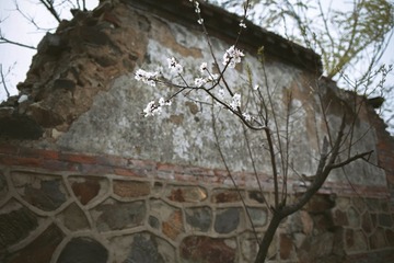 2I1A8739