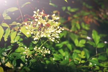 _MG_0789_conew2.jpg