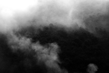 _MG_0872_conew1.jpg