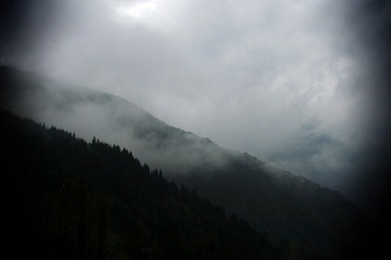 _MG_0903_conew1.jpg