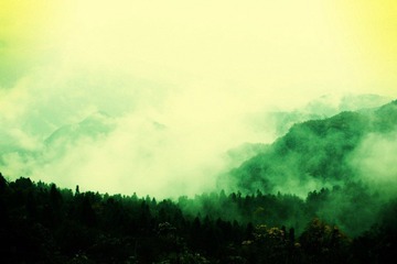 _MG_0930_conew1.jpg