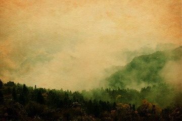 _MG_0930_conew2.jpg