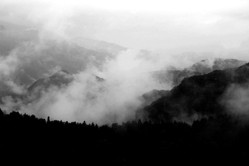 _MG_0930_conew4.jpg