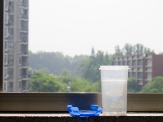 20120527-IMG_9351.jpg