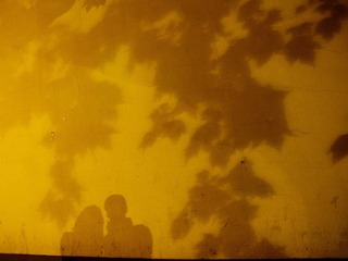 IMG_9567.jpg