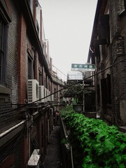 IMG_7697.jpg