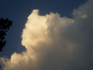 88003