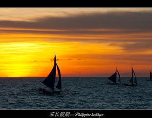 DSC03529.jpg