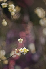 DSC04094.jpg