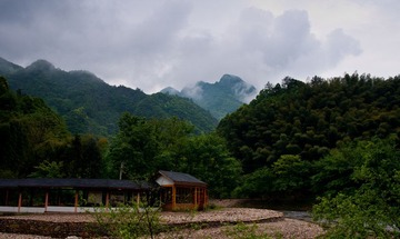 DSC00818.jpg