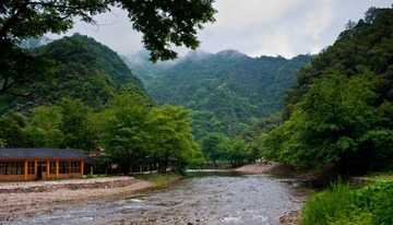 DSC00819.jpg