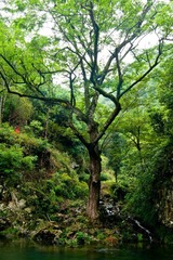 DSC00847.jpg