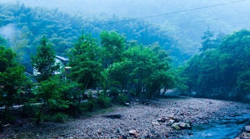DSC00983.jpg