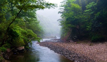 DSC00990.jpg