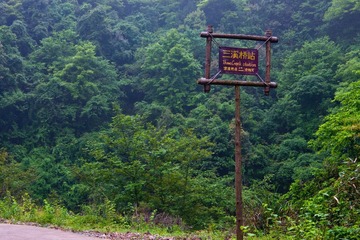 DSC01057.jpg