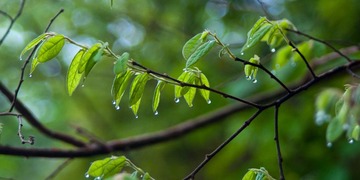 DSC01085.jpg