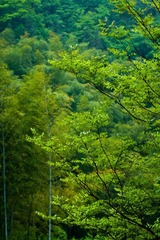 DSC01132.jpg