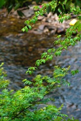 DSC01137.jpg