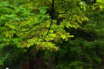 DSC01183.jpg