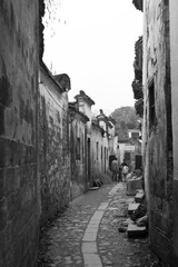 DSC01427.jpg