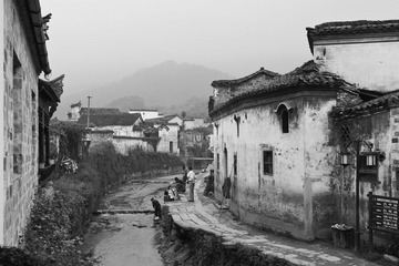 DSC01434-2.jpg