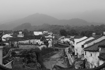 DSC01441-2.jpg