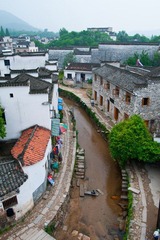 DSC01455.jpg