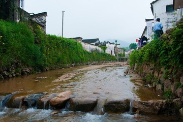 DSC01525.jpg