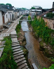 DSC01557.jpg