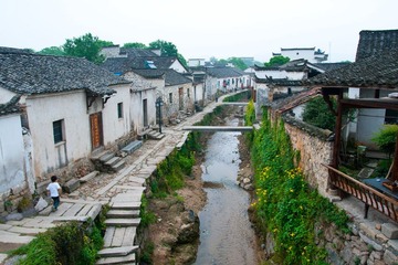 DSC01558.jpg