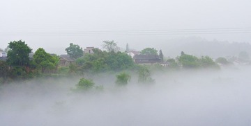 DSC01684.jpg