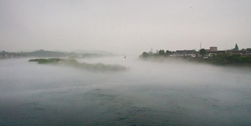 DSC01759.jpg