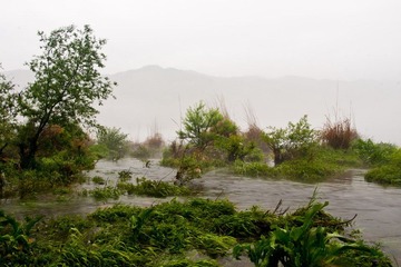 DSC01832.jpg