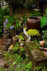 DSC02055.jpg