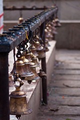 DSC07988.jpg